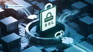 SSL Adalah: Arti, Cara Kerja, & Jenisnya untuk Website Aman